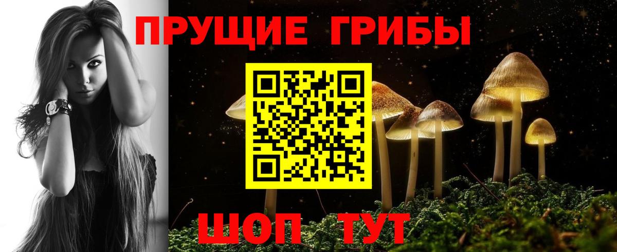 Галлюциногенные грибы GOLDEN TEACHER  Вход с VPN  как найти наркотики  Железноводск 